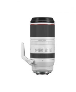 Canon RF 100-500mm f/4.5-7.1 L IS USM