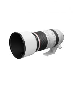 Canon RF 100-500mm f/4.5-7.1 L IS USM