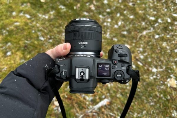 Canon RF 24mm f/1.8 Macro IS STM