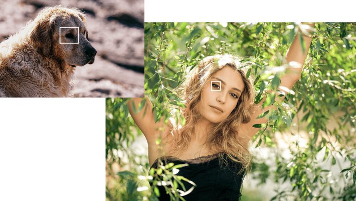 Hệ thống lấy nét hoàn hảo trên Fujifilm X-H2 + Lens 16-80mm