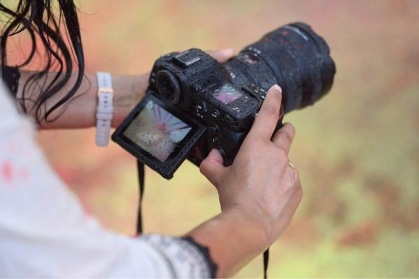Z8 có 493 điểm lấy nét tự động theo pha