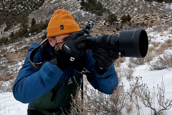 Sigma 500mm f/5.6 DG DN